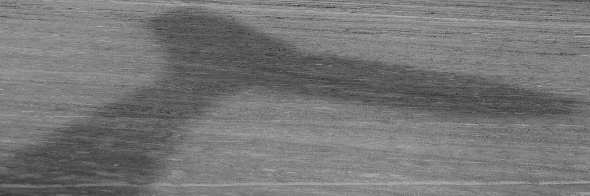 SpaceWhale Fluke Shadow