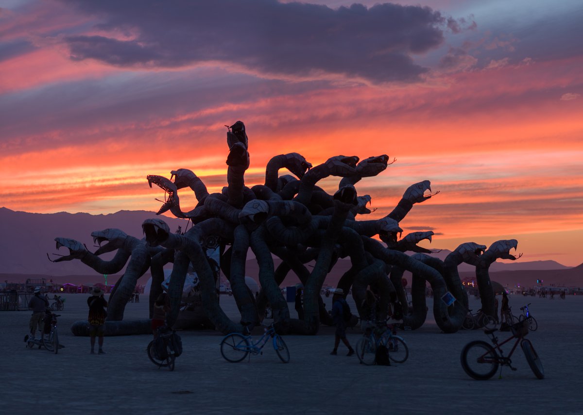 Medusa Madness by Reared In Steel, LLC at Sunset
