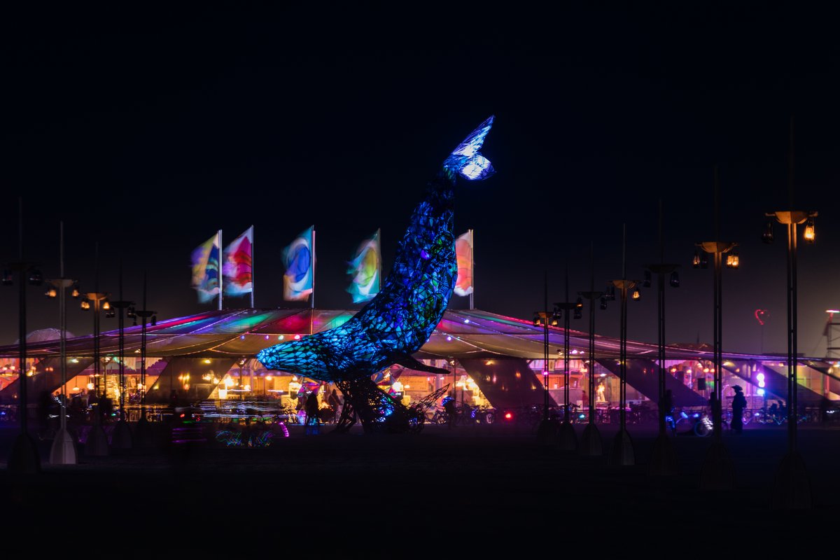 SpaceWhale and Center Camp