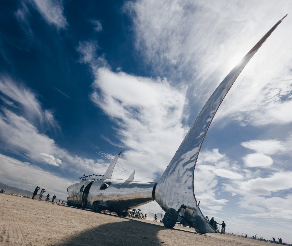 Shark Art Car Tail