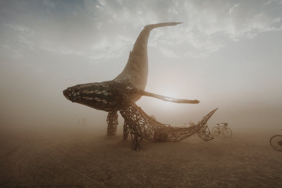 SpaceWhale