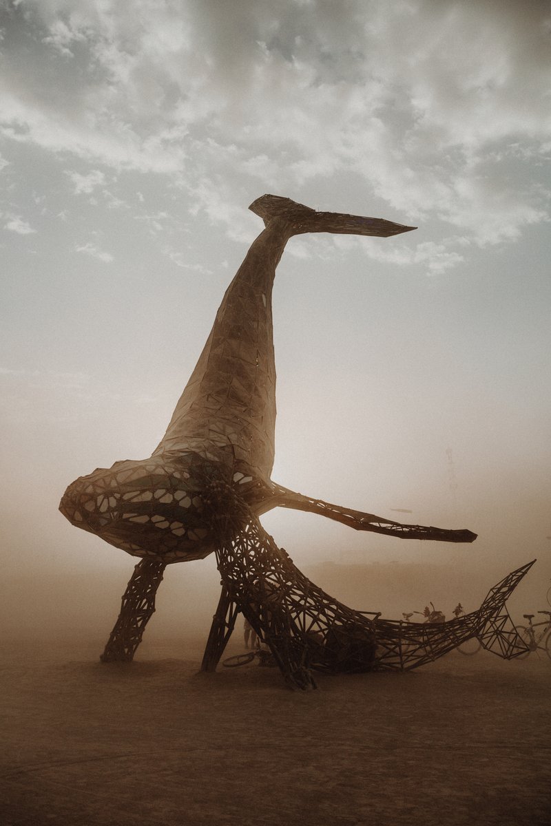SpaceWhale