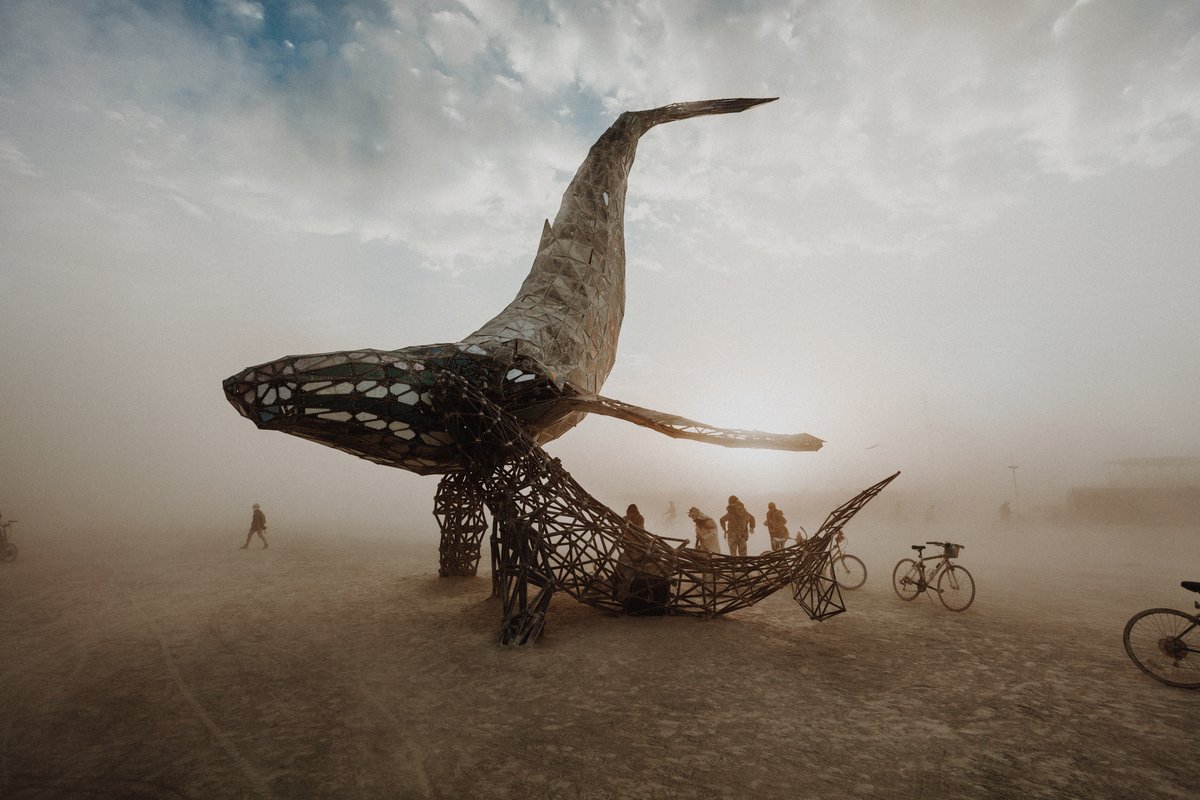 SpaceWhale