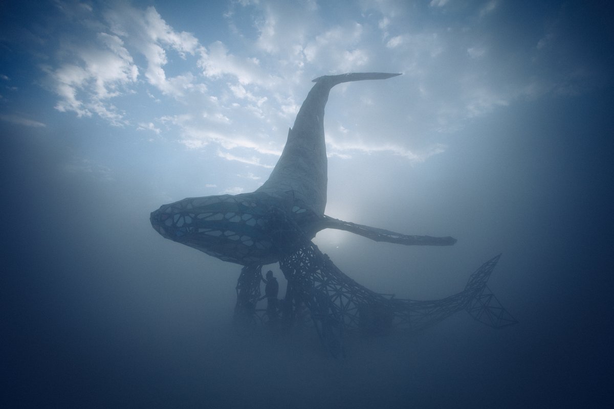 SpaceWhale