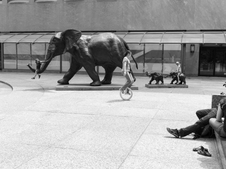 Children Playing On Elephant Sculpture