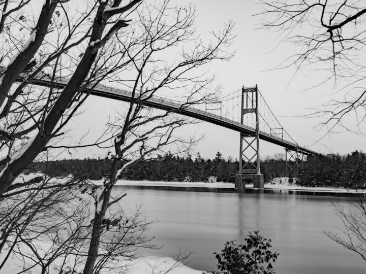 1000 Islands Bridge And Trees In Winter