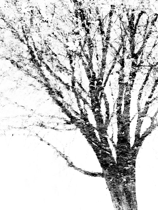Tree Of Grass And Leaves