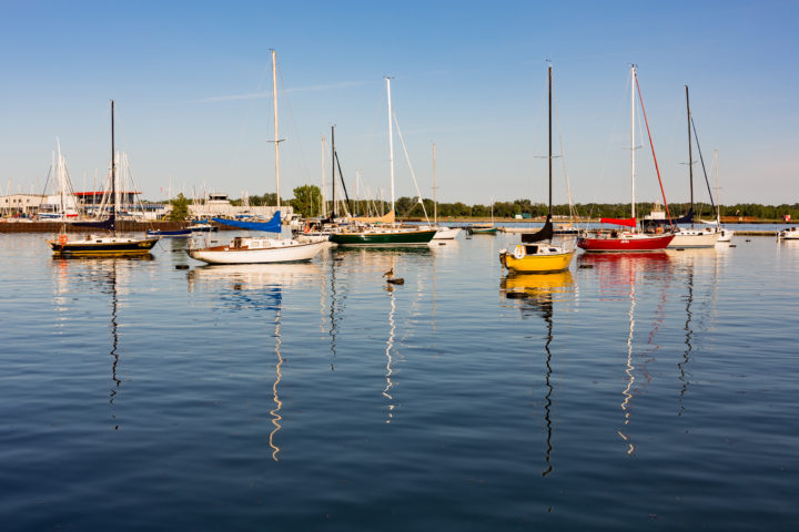 Canada Goose And Sailboats