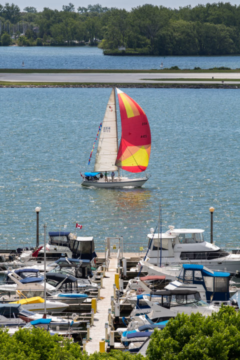 Sailing Inner Harbour Toronto