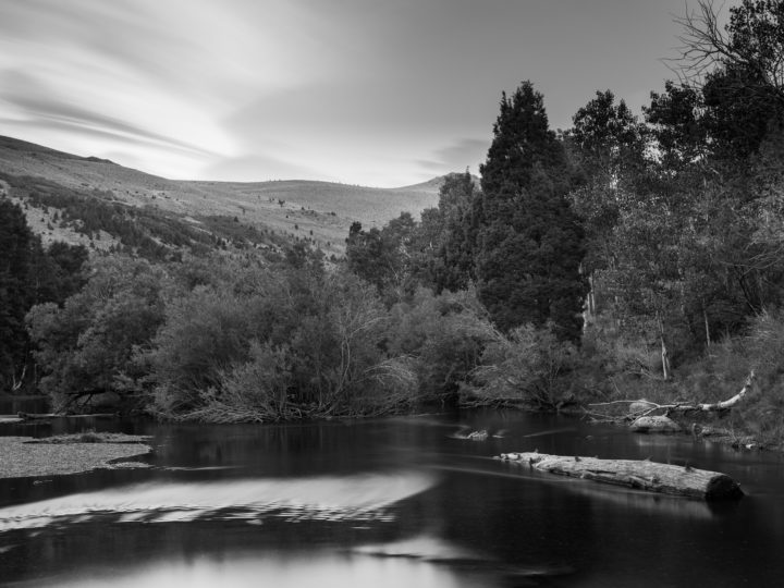 Silver Lake Stream