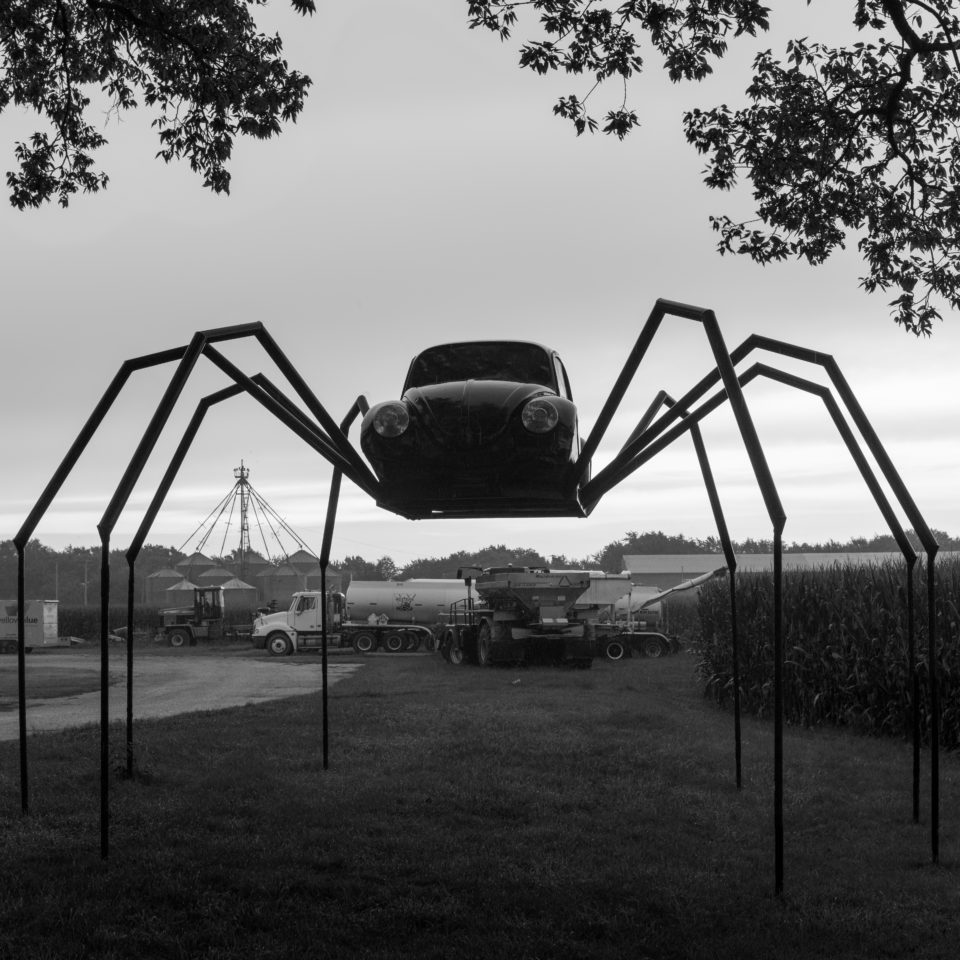 Volkswagen Beetle Spider