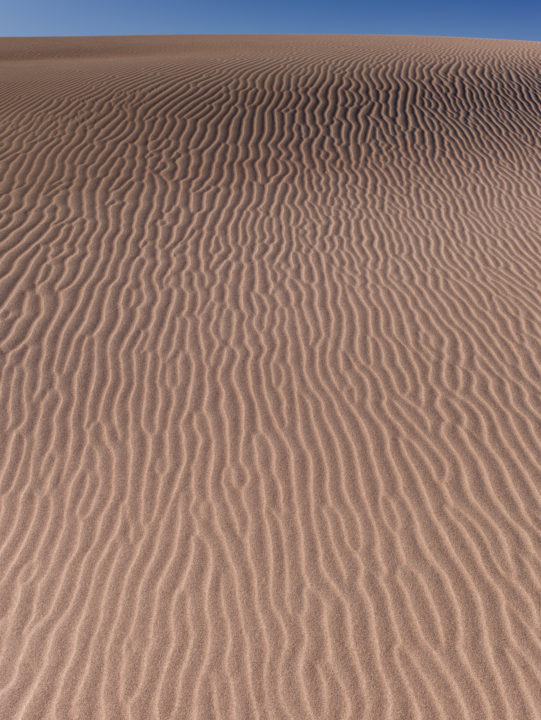 Pattern On Sand Dune