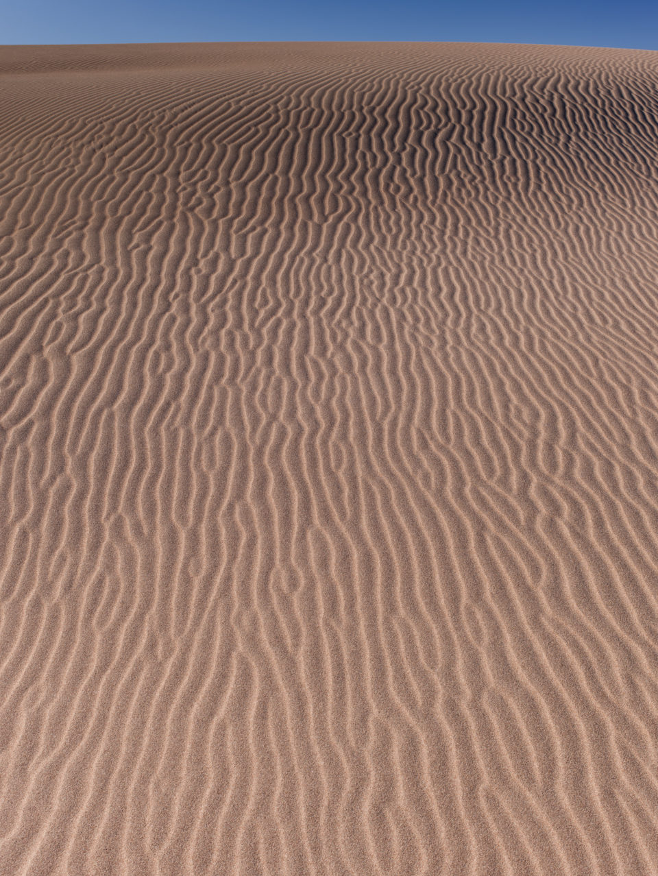 Pattern On Sand Dune