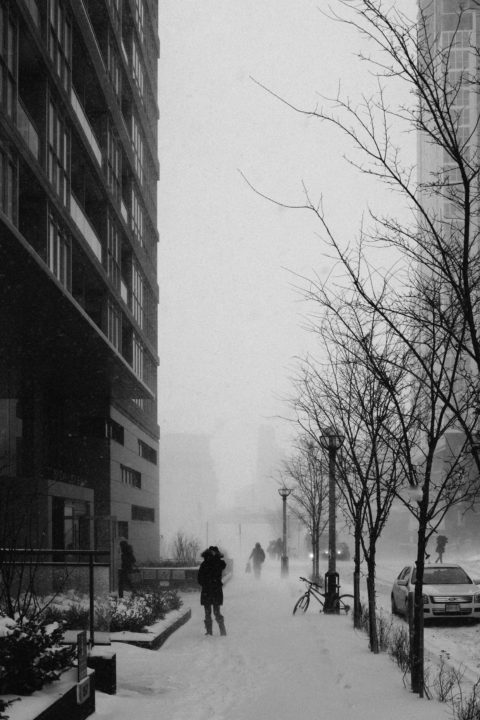 Battling The Snow 2