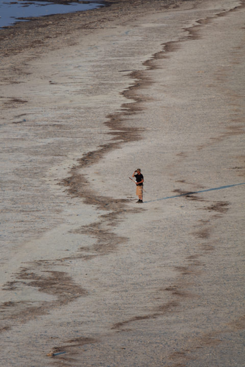 The Bird Watcher