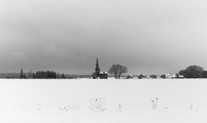Farmhouse And Trees In Winter