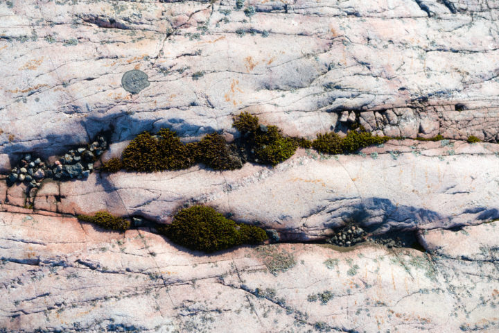 Moss And Pink Stone