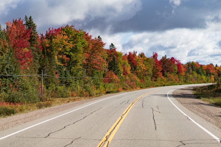 Fall Color Around The Bend