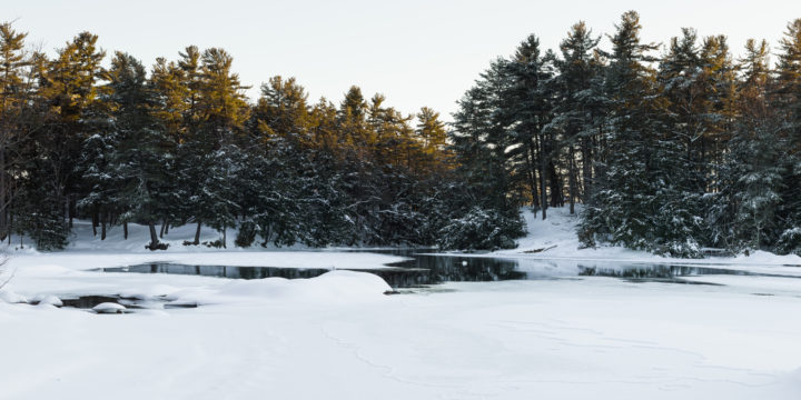 Smugglers Cove In The Winter
