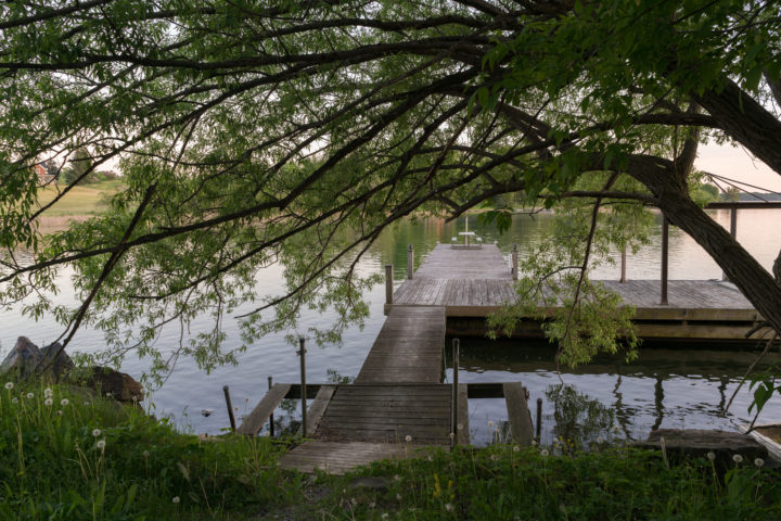 Tree Above Dock