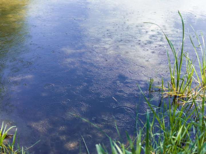 Raindrops On The River