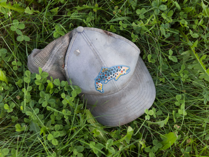 Fish On A Hat In The Grass