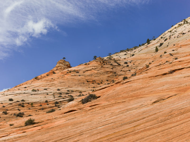 Zion Slope