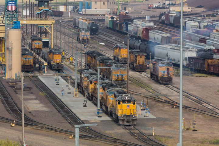 Bailey Yard 2