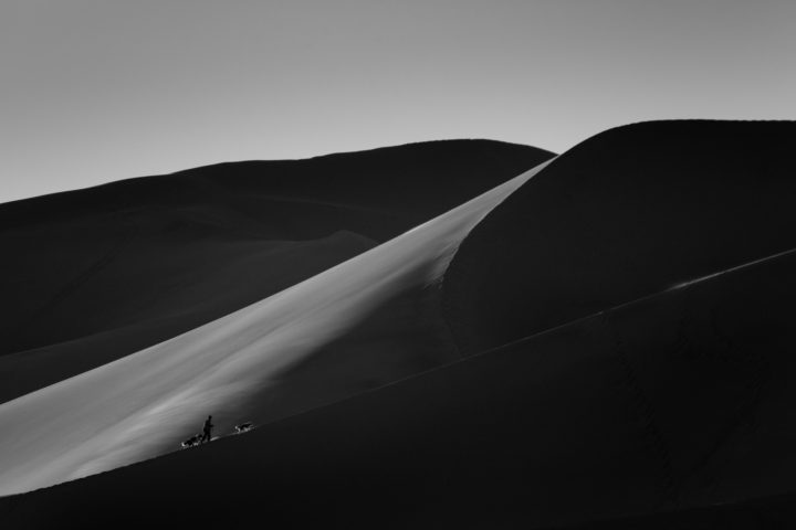 Man And His Dogs Climbing Sand Dunes