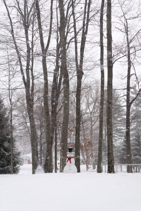 Snowman And Trees