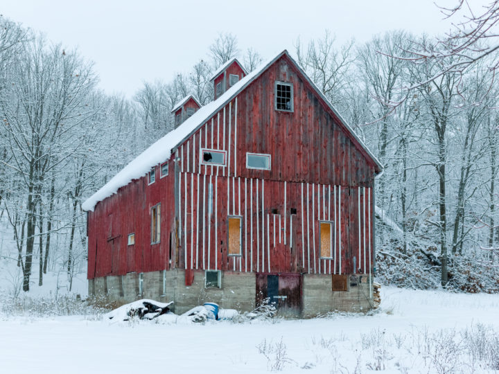 Red Barn And Snow Covered Trees