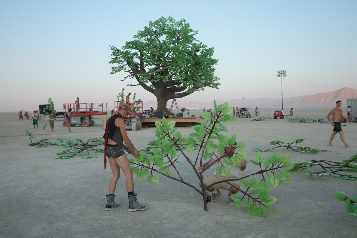 Tree of Ténéré by: Alexander Green, Mark Slee, Zachary Smith, and Patrick Deegan from: San Francisco, CA