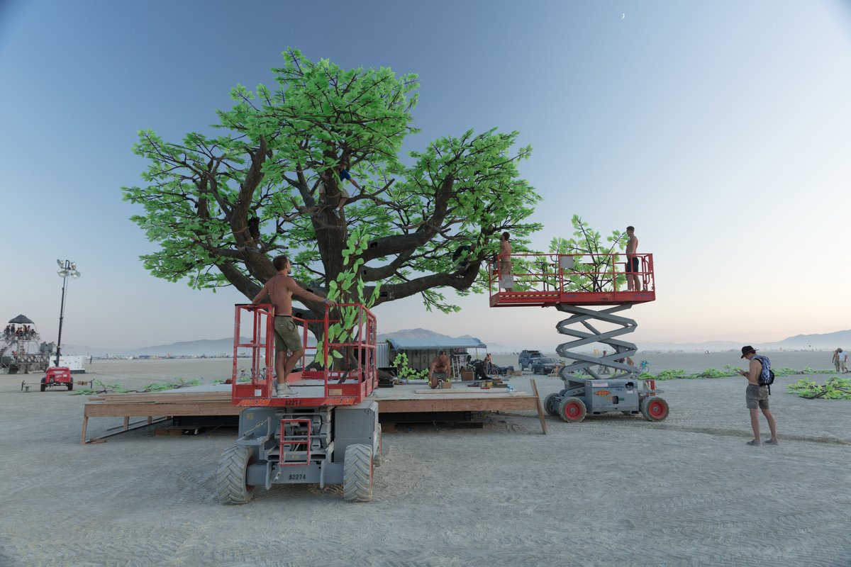 Tree of Ténéré by: Alexander Green, Mark Slee, Zachary Smith, and Patrick Deegan from: San Francisco, CA