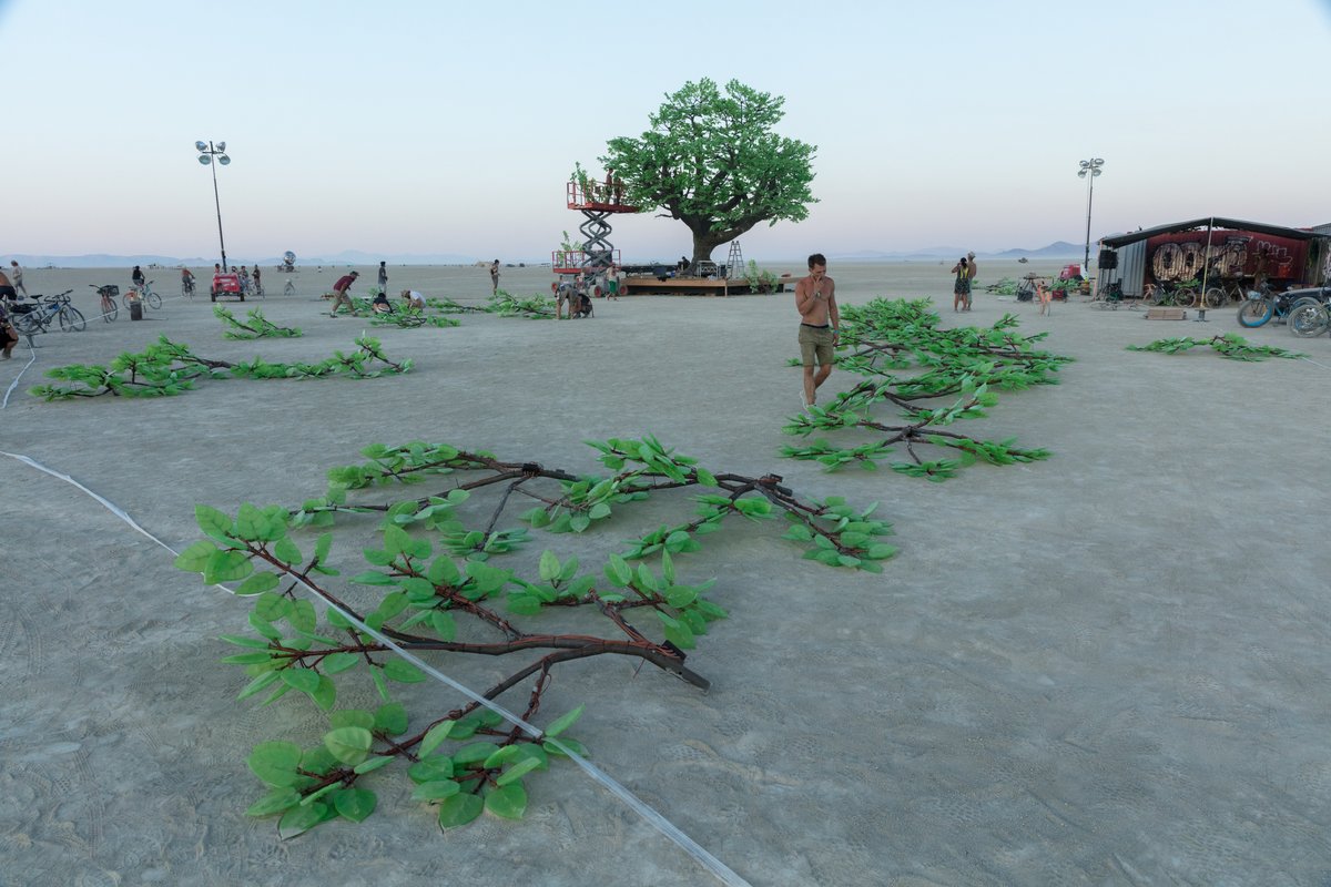 Tree of Ténéré by: Alexander Green, Mark Slee, Zachary Smith, and Patrick Deegan from: San Francisco, CA