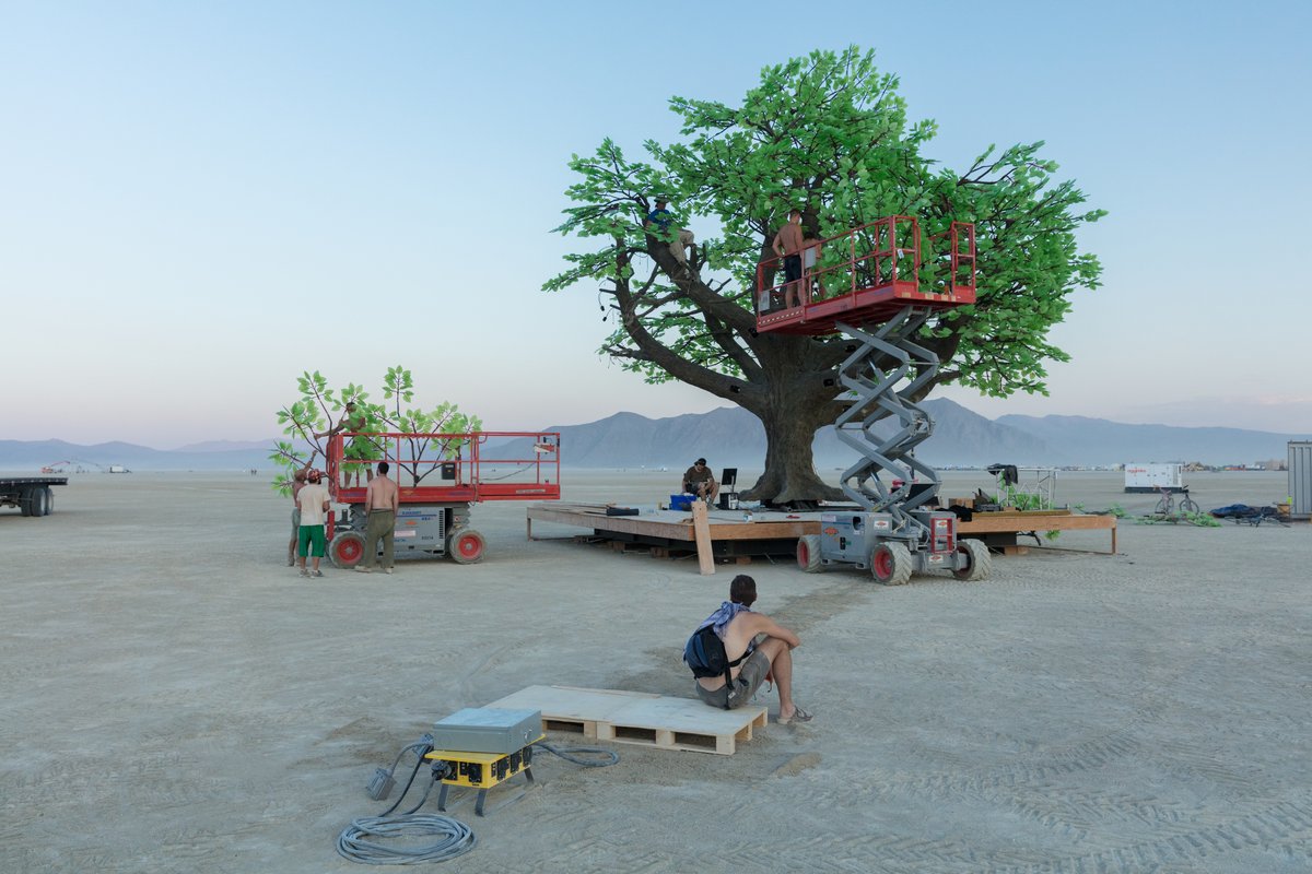 Tree of Ténéré by: Alexander Green, Mark Slee, Zachary Smith, and Patrick Deegan from: San Francisco, CA