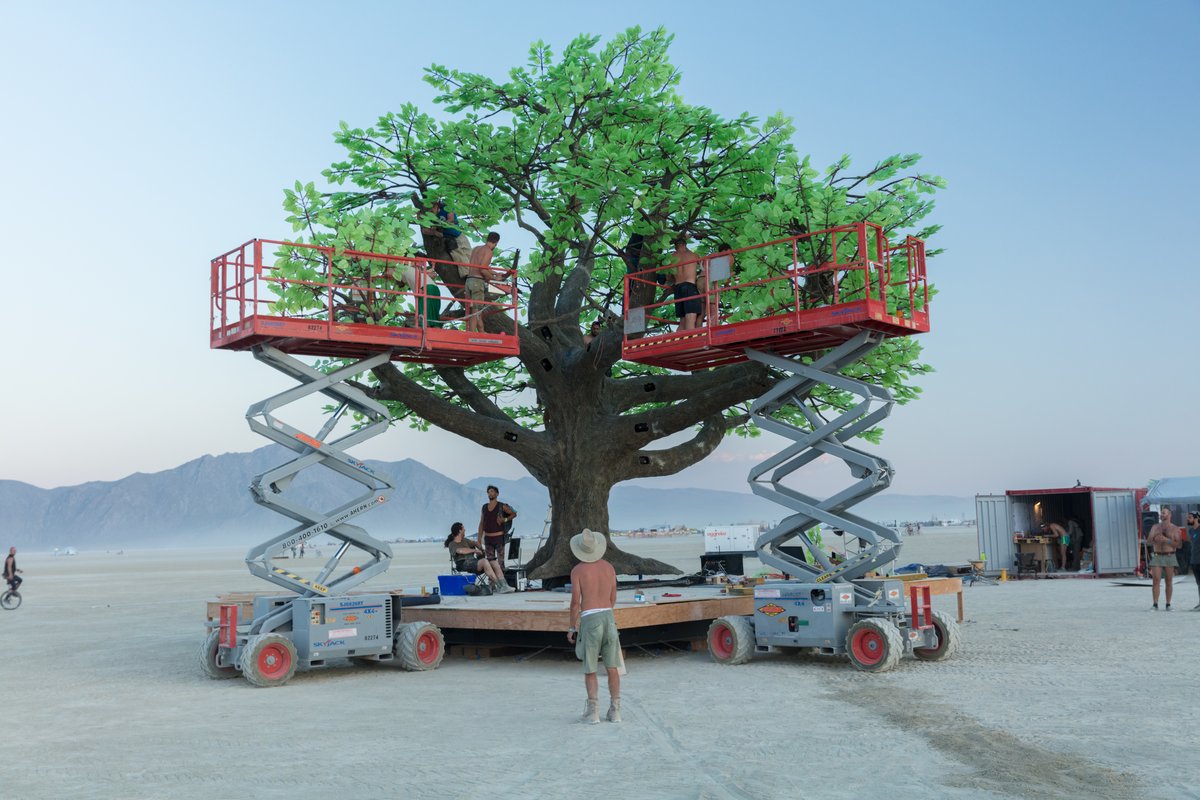 Tree of Ténéré by: Alexander Green, Mark Slee, Zachary Smith, and Patrick Deegan from: San Francisco, CA
