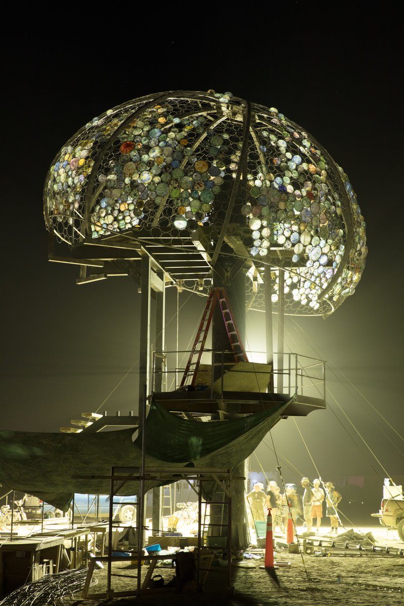 Peter Hazel's Bloom Under Construction