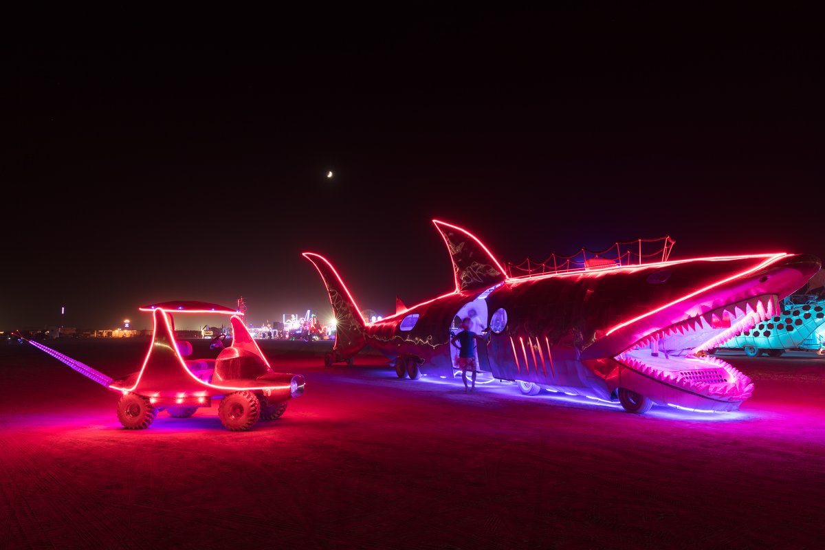 The Shark And A New Sidekick The Manta Ray