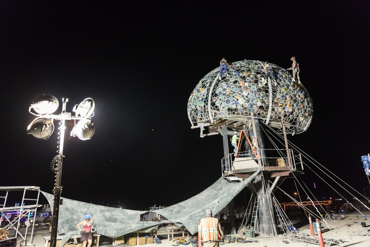 Peter Hazel's Bloom Under Construction