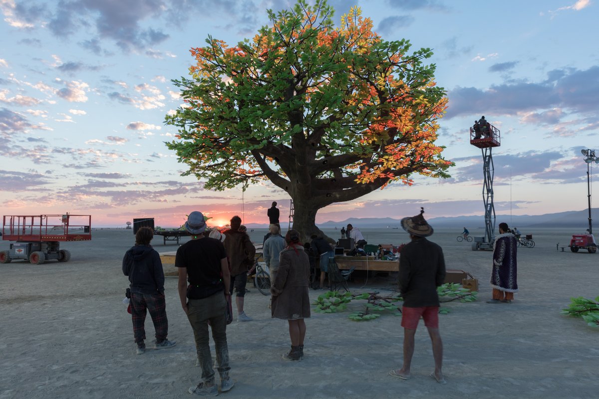 Tree of Ténéré by: Alexander Green, Mark Slee, Zachary Smith, and Patrick Deegan from: San Francisco, CA