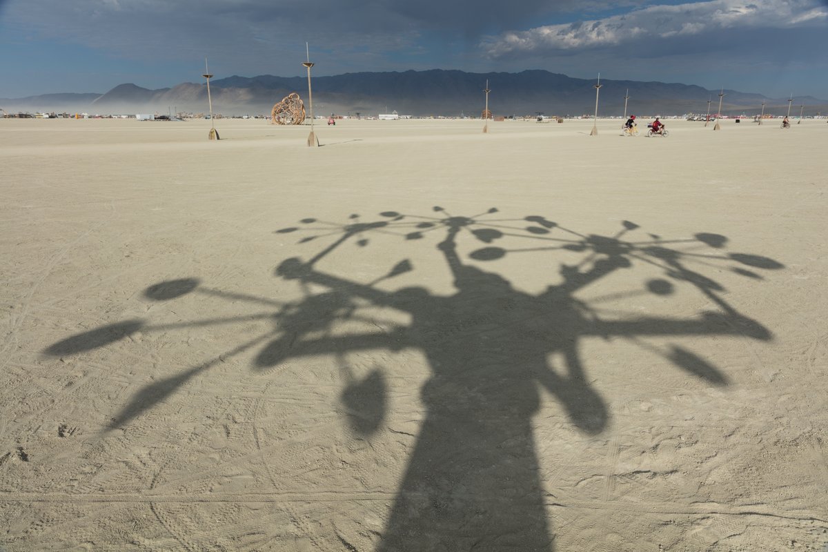 Macchina Naturale by: David Boyer from: Reno, NV
