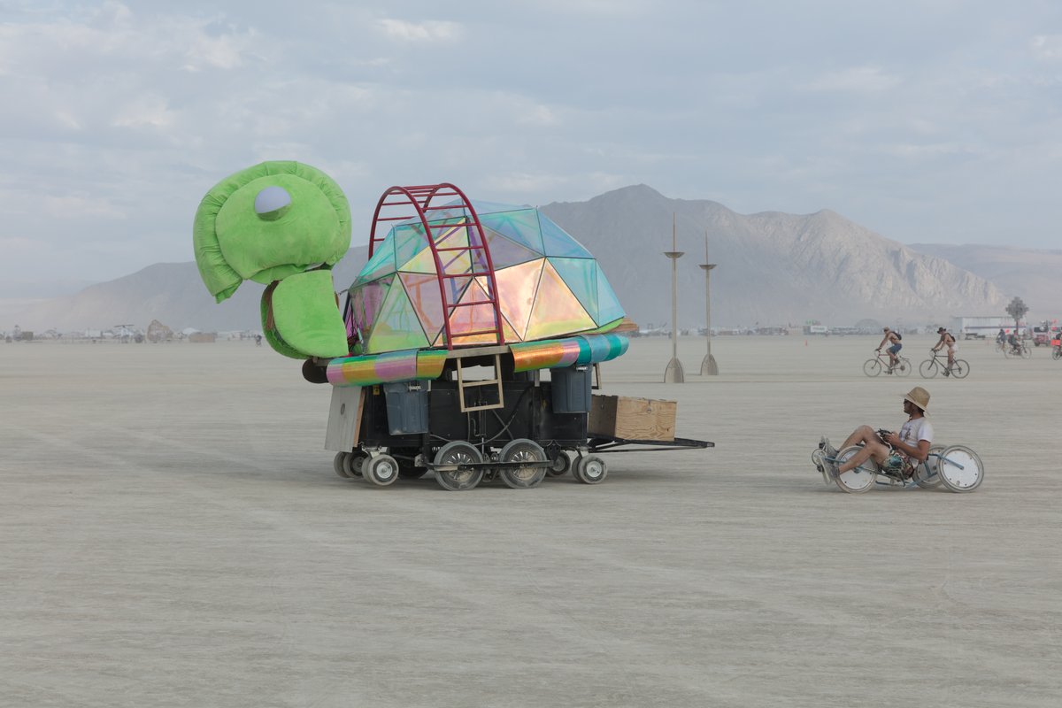 Remote Controlled Turtle Wayward Beasties from Phoenix. (thanks David)