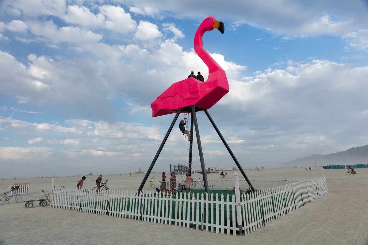 Phoenicopterus Rex by: Josh Zubko from: San Francisco, CA