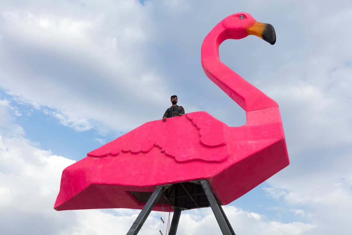 Phoenicopterus Rex by: Josh Zubko from: San Francisco, CA