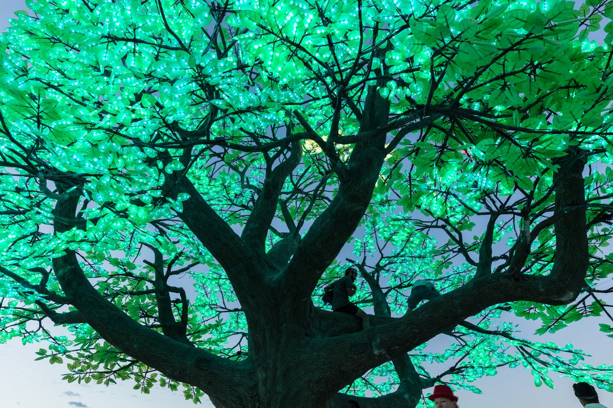 Tree of Ténéré by: Alexander Green, Mark Slee, Zachary Smith, and Patrick Deegan from: San Francisco, CA