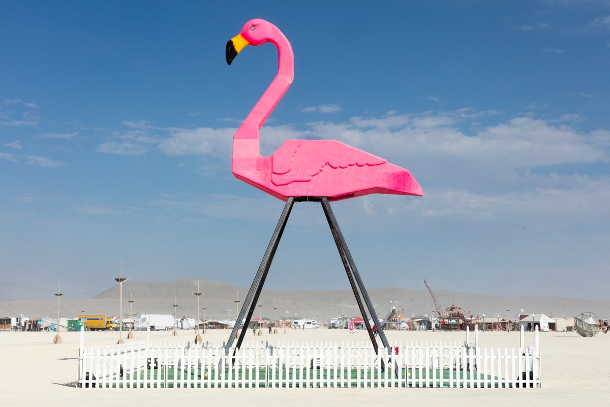 Phoenicopterus Rex by: Josh Zubko from: San Francisco, CA
