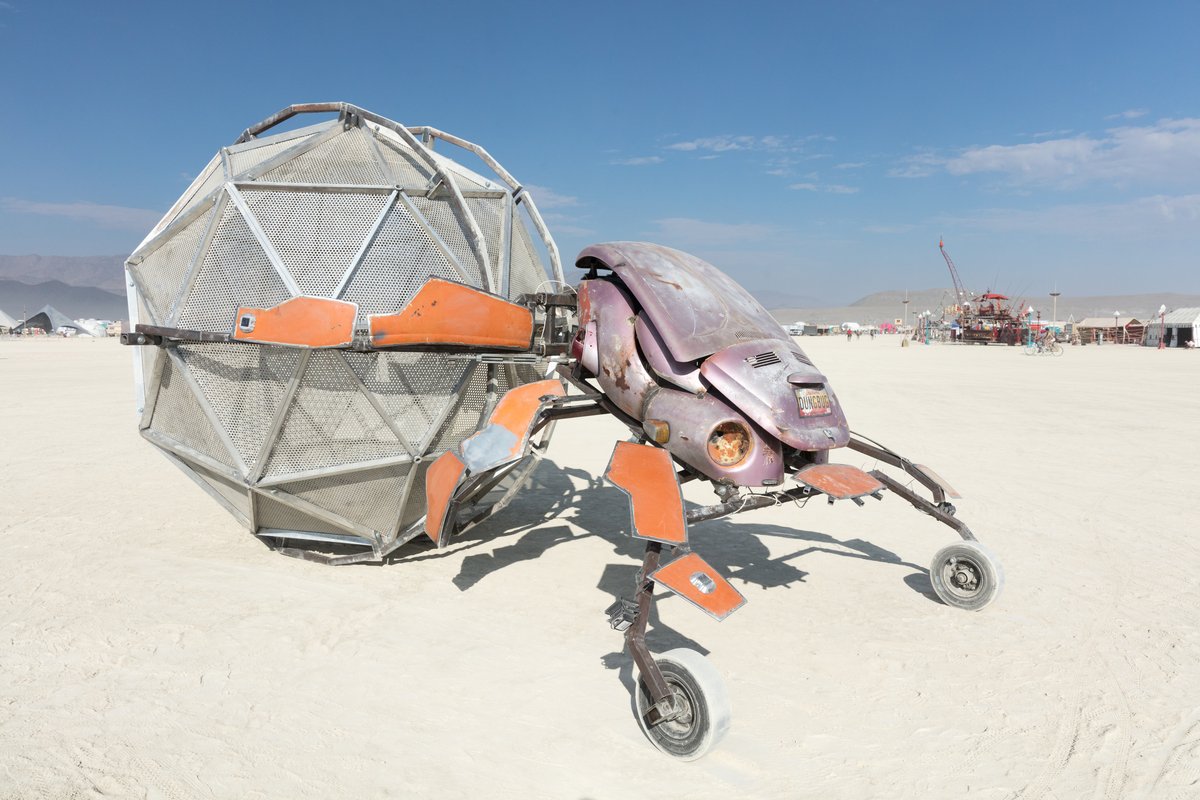 Dung Bug by: Brennan Steele & Friends from: New Orleans Louisiana