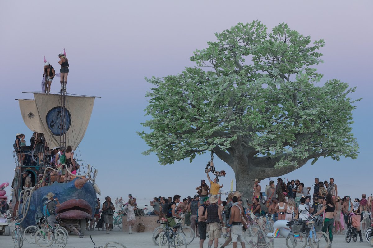 Tree of Ténéré by: Alexander Green, Mark Slee, Zachary Smith, and Patrick Deegan from: San Francisco, CA