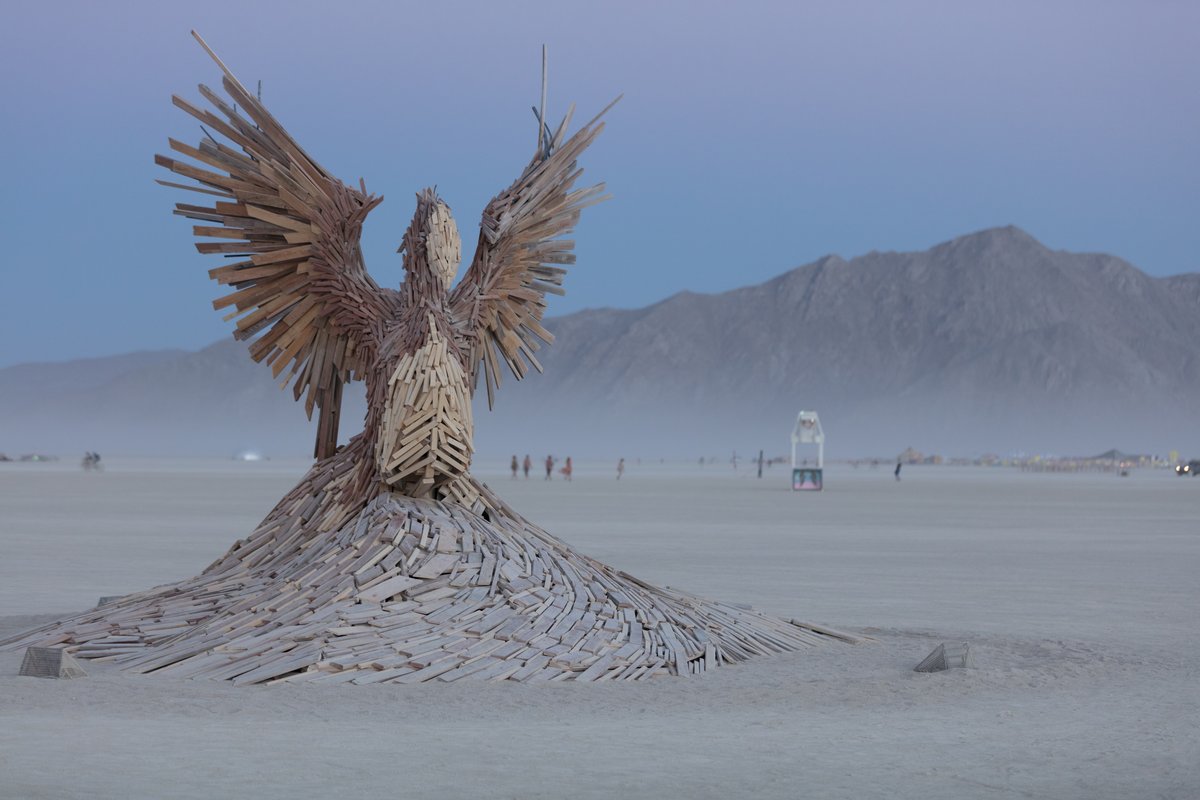 Phoenix Rising by: Nicholas Palmer from: South Lake Tahoe, CA