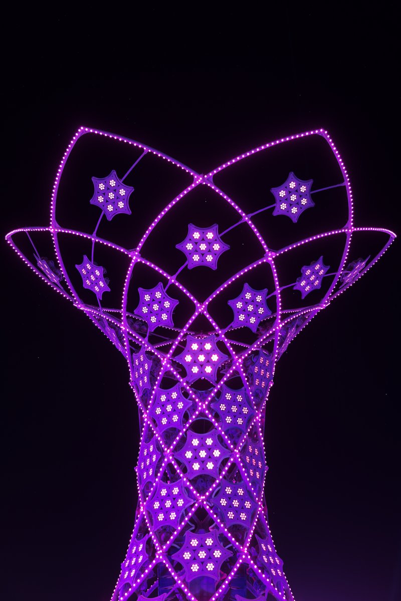 ILUMINA by: Pablo Gonzalez Vargas from: Mexico City, Mexico